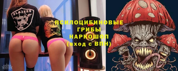 мдпв Няндома